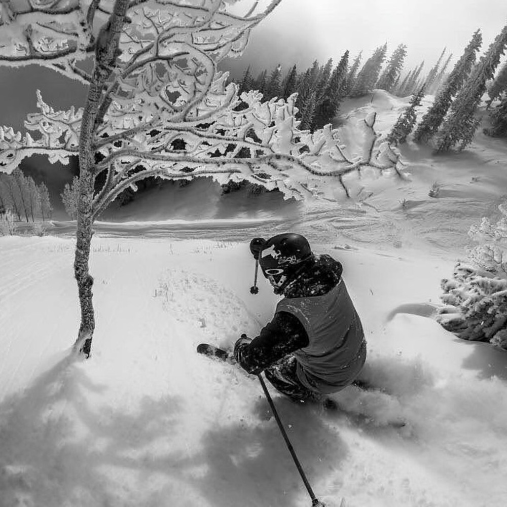 Meet your Posher, Krystian